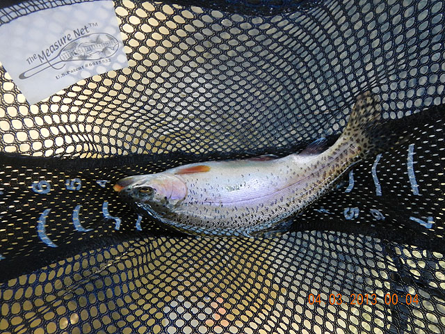 Big Sping Creek 04-03-13 002.jpg -                                